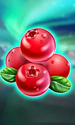 Winterberries